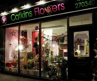 Catkins Flowers 284082 Image 0